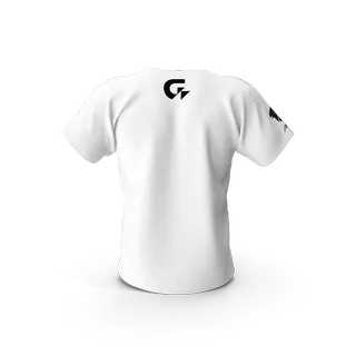 Gigabyte Aorus Men Tshirt, photo 3