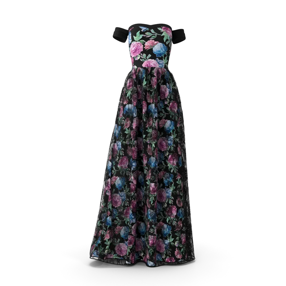 Black Women's Gown, photo 1