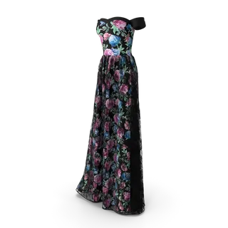Black Women's Gown, photo 2