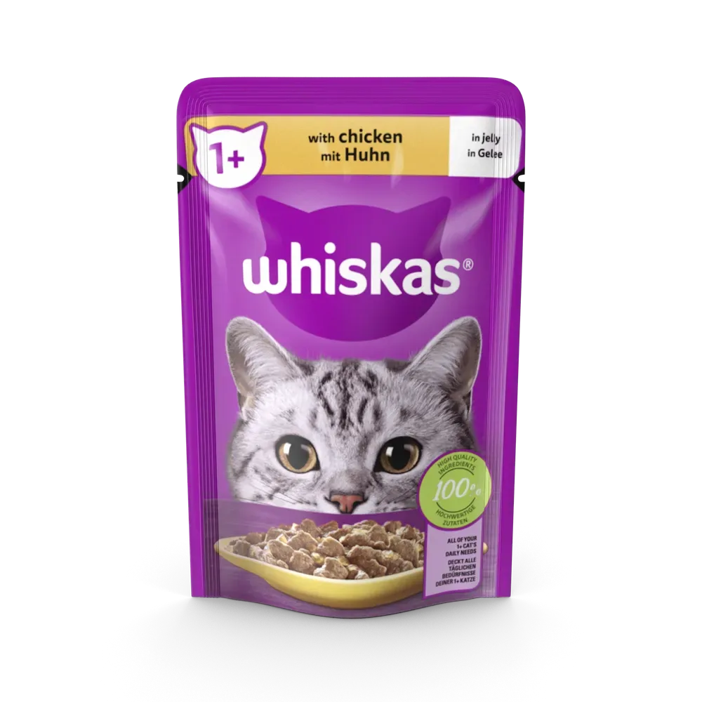 Cat Food, photo 1
