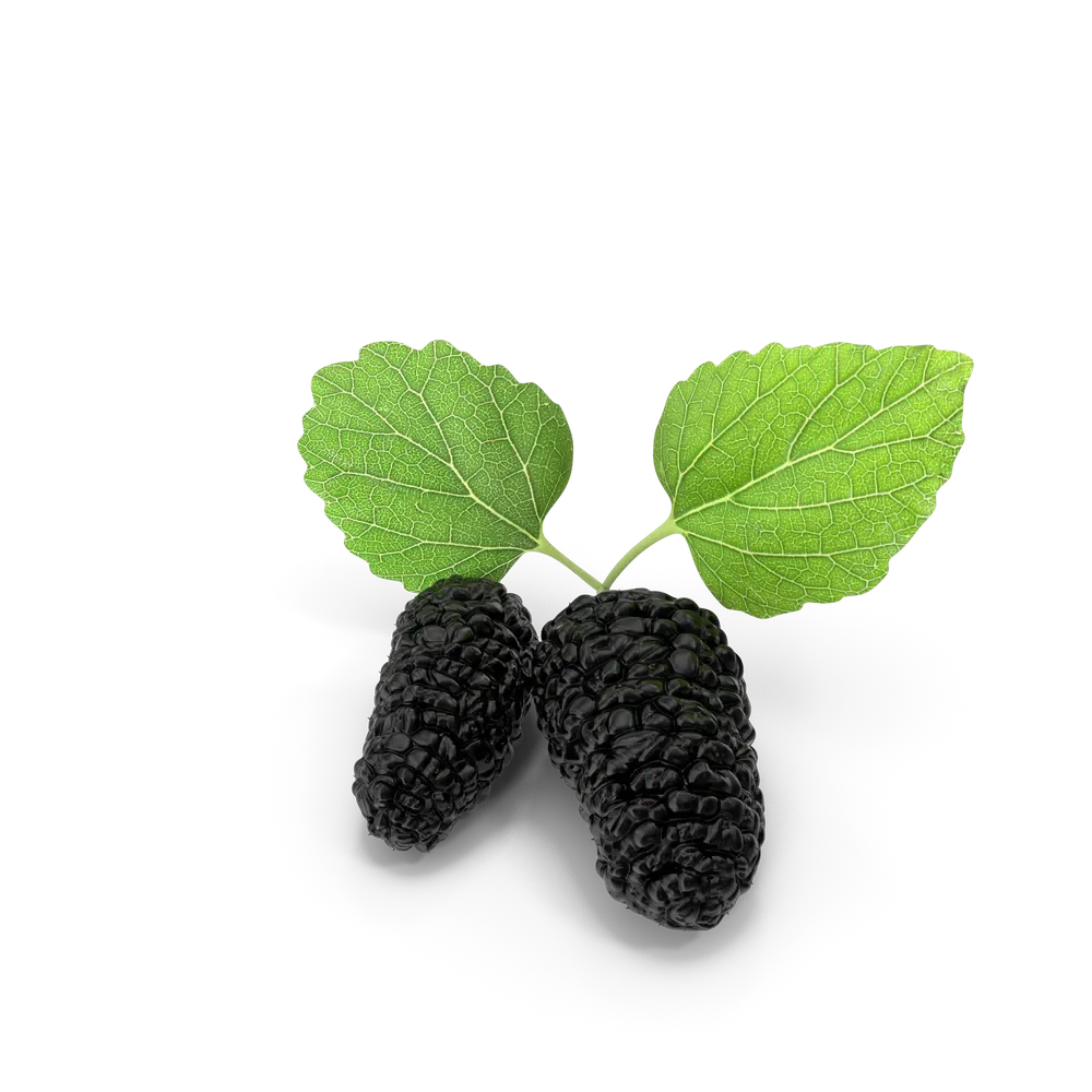 Mulberry, photo 1