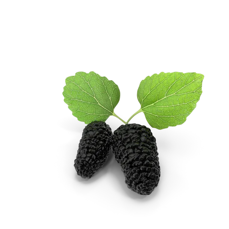 Mulberry, photo 1