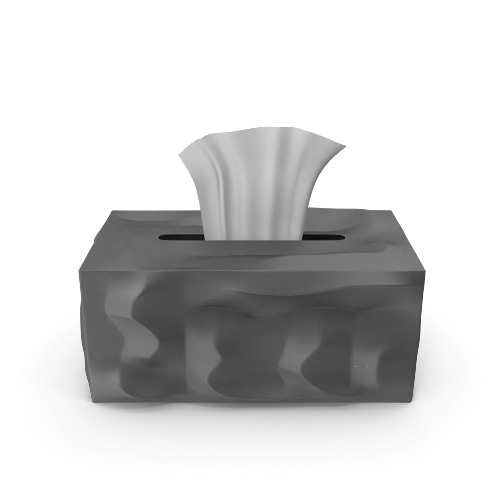 Tissue Paper Box, photo 1
