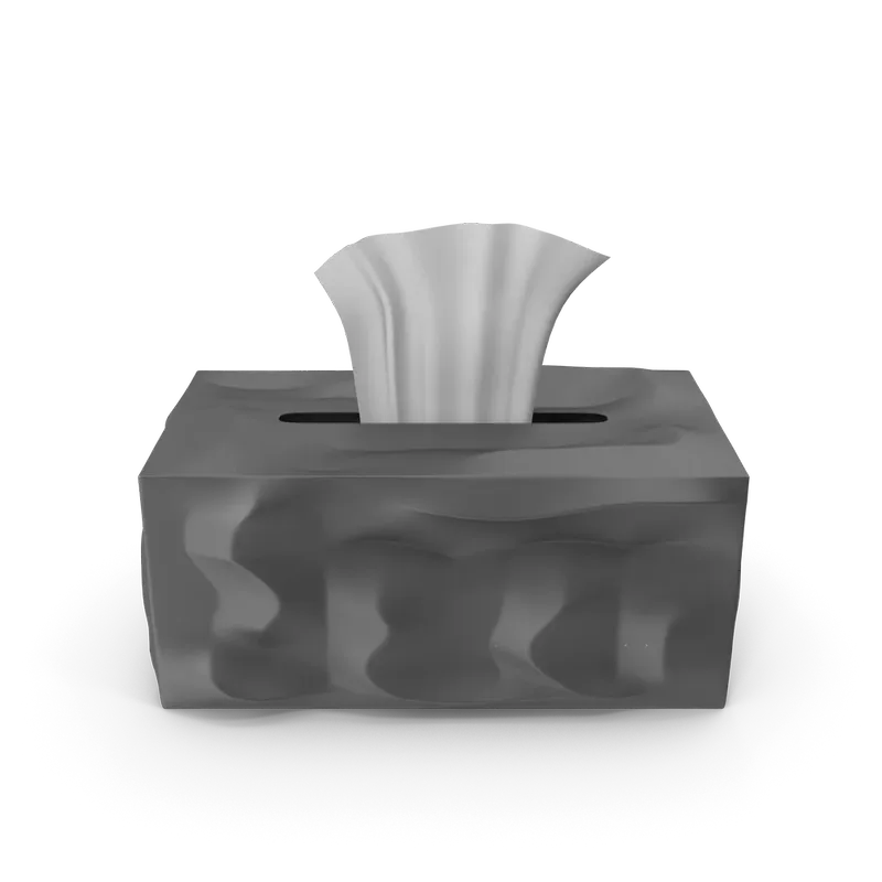 Tissue Paper Box, photo 1