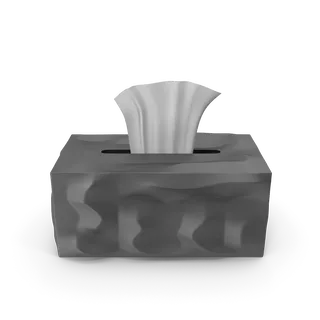 Tissue Paper Box, photo 1
