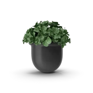 Plant Pot, photo 2