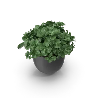 Plant Pot, photo 3